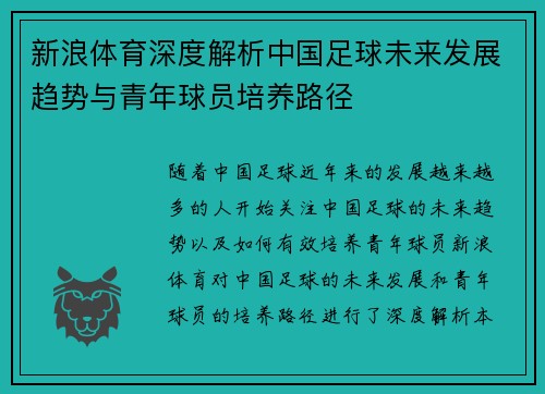 新浪体育深度解析中国足球未来发展趋势与青年球员培养路径